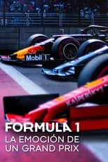 VER Formula 1: Drive to Survive (2019) Online Gratis HD