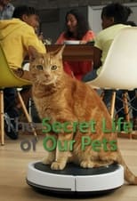 VER La vida secreta de nuestras mascotas (2021) Online Gratis HD