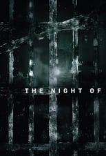 The Night Of (2016) 1x6