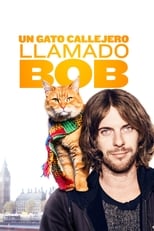 VER Un gato callejero llamado Bob (2016) Online Gratis HD
