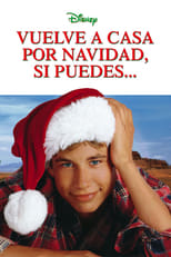 VER Vuelve a casa por Navidad, si puedes... (1998) Online Gratis HD