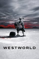Westworld (2016) 3x3
