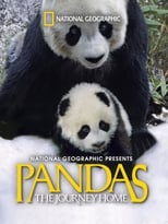 VER Pandas: The Journey Home (2014) Online Gratis HD